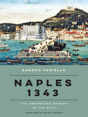 cover image of Naples 1343